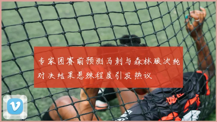 专家团赛前预测马刺与森林狼次轮对决结果悬殊程度引发热议