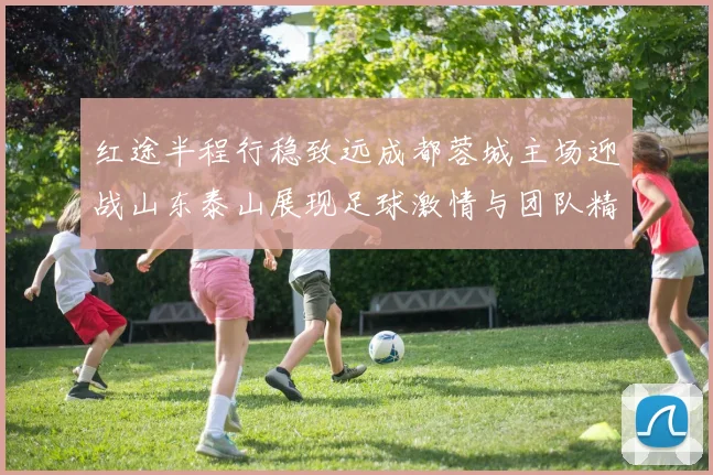 红途半程行稳致远成都蓉城主场迎战山东泰山展现足球激情与团队精神