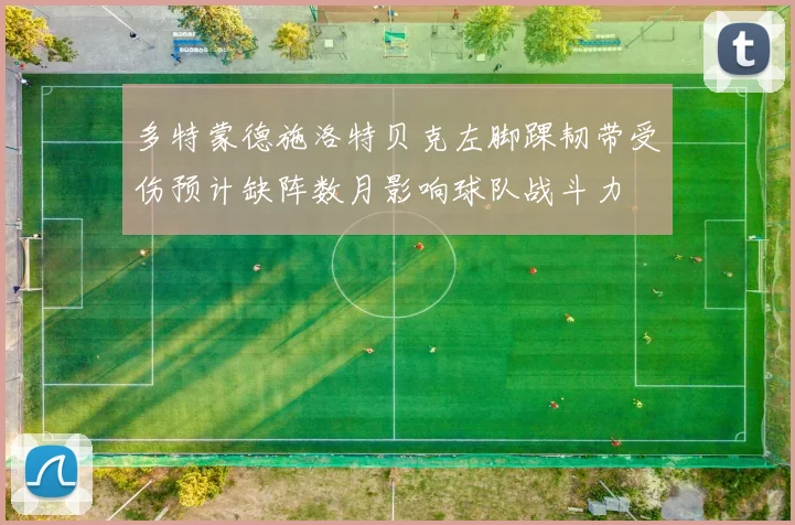 多特蒙德施洛特贝克左脚踝韧带受伤预计缺阵数月影响球队战斗力
